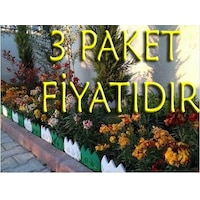 24 Adet Dekoratif Geçirmeli Renkli Bahçe Çiti 3 Paket Beyaz 24 Adet Dekoratif Geçirmeli Renkli Bahçe Çiti 3 Paket Beyaz
