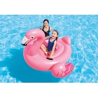 Ant Flamingo Binici Tutmaçlı Ada Yo 403021 Ant Flamingo Binici Tutmaçlı Ada Yo 403021