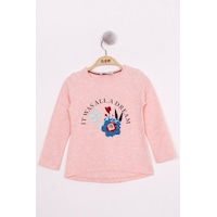 Toontoy Kids Toontoy Kız Çocuk Pullu Güllü Nakışlı T-shirt Pembe Melanj Toontoy Kids Toontoy Kız Çocuk Pullu Güllü Nakışlı T-shirt Pembe Melanj