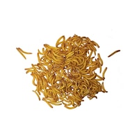 Exolive Un Kurdu 1000'li 100 G Exolive Un Kurdu 1000'li 100 G