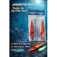100 Gr Slow Jig Yemi 2'li Set - Glow Özellikli Derin Su Balık Avı Seti 100 Gr Slow Jig Yemi 2'li Set - Glow Özellikli Derin Su Balık Avı Seti
