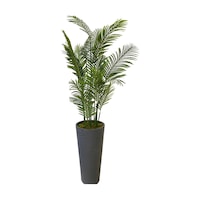 Cihan Çiçekçilik Areka 15 Yaprak 200 Cm 70x35 Özel Tasarım Saksı Yeşil Cihan Çiçekçilik Areka 15 Yaprak 200 Cm 70x35 Özel Tasarım Saksı Yeşil