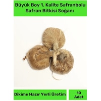 Premium Dikime Hazır Yerli Üretim Büyük Boy 1. Kalite Safranbolu Safran Bitkisi Soğanı Premium Dikime Hazır Yerli Üretim Büyük Boy 1. Kalite Safranbolu Safran Bitkisi Soğanı