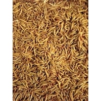 Exolive Un Kurdu 2500'lü 250 G Exolive Un Kurdu 2500'lü 250 G