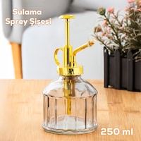 Perotti Vintage Cam Bitki Sulama Şişesi 250 ML Gri Perotti Vintage Cam Bitki Sulama Şişesi 250 ML Gri