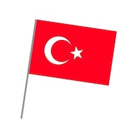 Sopalı Bez Bayrak 30x45 Türk Bayrağı - 3 Adet Diğer Sopalı Bez Bayrak 30x45 Türk Bayrağı - 3 Adet Diğer