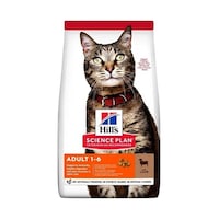 Hill's Kuzulu Yetişkin Kuru Kedi Maması 10 KG Hill's Kuzulu Yetişkin Kuru Kedi Maması 10 KG