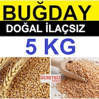 Buğday 5 Kg Yemlik Buğday Tavuk Yemi Güvercin Yemi Kanatlı Yemi Buğday 5 Kg Yemlik Buğday Tavuk Yemi Güvercin Yemi Kanatlı Yemi