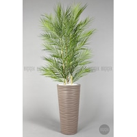 Biçiçek Yapay Areka Palmi̇yesi̇ 150 Cm 33 Yaprak Mocha Kumsal Saksıda Biçiçek Yapay Areka Palmi̇yesi̇ 150 Cm 33 Yaprak Mocha Kumsal Saksıda