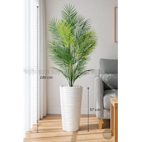 Biçiçek 160 Cm Areka Ağaci 24 Yapraklı Beyaz Kumsal Saksıda Biçiçek 160 Cm Areka Ağaci 24 Yapraklı Beyaz Kumsal Saksıda