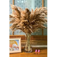 Alyones 10 Adet Kabarık Pampas Otu 100cm Doğal Kuru Pampas Dekor Boho Oda Çiçekleri Dekorasyonu Alyones 10 Adet Kabarık Pampas Otu 100cm Doğal Kuru Pampas Dekor Boho Oda Çiçekleri Dekorasyonu
