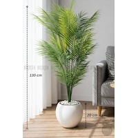 Biçiçek Areka Ağaci 24 Yapraklı 130 Cm Beyaz Küre Saksıda Biçiçek Areka Ağaci 24 Yapraklı 130 Cm Beyaz Küre Saksıda