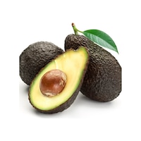 Tüplü Aşılı Has Black Avokado Fidanı Tüplü Aşılı Has Black Avokado Fidanı