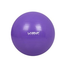 Liveup Pilates & Yoga Ürünleri LS3577 GYM BALL PURPLE 55CM