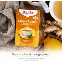 Organik Ginger Lemon Çayı 17 Süzen Poşet