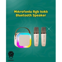 İki Mikrofonlu Renkli Led Işıklı Karaoke Cihazı
