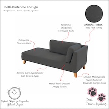 Bella Rahat Dinlenme Koltuğu Josefin Koltuk Psikolog Koltuğu Kitap Okuma Koltuğu Puf Koltuk Kanepe Sağ Antrasit