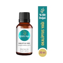20 ML