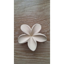 Bayan Lotus Çiçeği Dişli Toka Krem