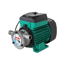 Gross 3/4 Inc Dıştan Çıkış Mazot Ve Sıvı Aktarım Pompası 220 Volt