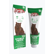 Energy Kısırlaştırılmış Kedi Paste - 100 G