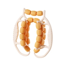 Suntek 29 Tekerlekli Bacak Masaj Silindiri Fitness Kelepçesi Kol Turuncu