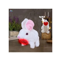Elektronik Pilli Işıklı Zıplayan Hareketli Peluş Sevimli Kalplıtavşan Oyuncak 18 Cm. Beyaz Gri Pembe Kahve Beyaz