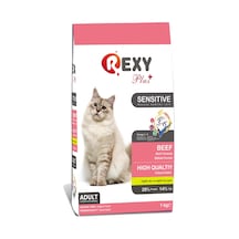 Rexy Biftekli Yetişkin Kedi Maması 1 KG