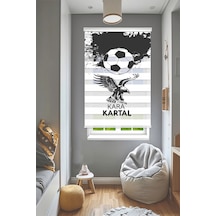 Perdeoutlet38 Baskılı Renkli Kartal1 İsim Yazılır Dijital Baskılı Zebra Perde-cocuk Odası-stor Perde Model:pz-5018 Çok Renkli