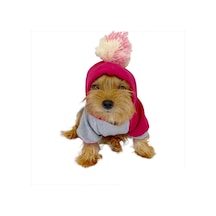Kemique Pink Amigo Kapşonlu Sweatshirt Köpek Kıyafeti