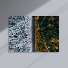 Dört Mevsim Çelişkisi: Karlı Ve Sonbahar Ormanları Kanvas Tablo - 70 X 100