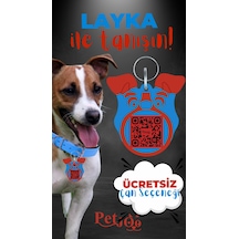 Petjoo 22.Layka Kırmızı-Mavi Qr'lı Köpek Künyesi