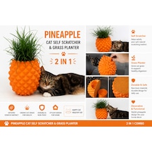 Ananas Tasarımlı Kedi Kaşınma Aparatı Ve Kedi Otu Saksısı 2 Si 1 Arada Turuncu