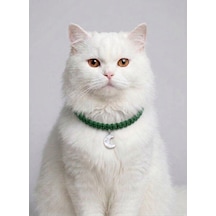 Yeşil El Örgüsü Makrome Kedi Tasması 27 Cm - Ay Figürlü Charm Şık Kedi Boyun Tasması