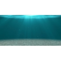 Kanki Pet 125 cm KP1256306 Akvaryum Arka Fon Yapıştırma 125x63 cm