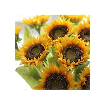 Ayçiçeği Çekirdek Tohumu 10 Gr Paket 1 Paket