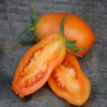 Chukloma Orange Domates Tohumu 15 Tohum 1 Paket