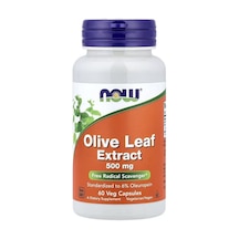 Olive Leaf Extract, 500 Mg, 60 Vegetarian Capsules