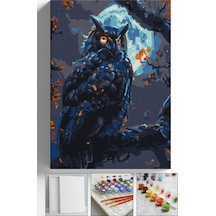 Sayılarla Boyama Seti Numaralı Tuval Fırça Boya Askı Aparatı Dahil Set 40x50 Cm - Dolunay Ve Baykuş