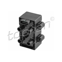 Renault Scenic 2 Bobin 1.6 2004-2008 Topran 700123001