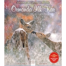 Fotoğraflarla Anlatılan Öyküler - Ormanda İlk Kar - Ccgx-817815