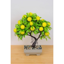 Limon