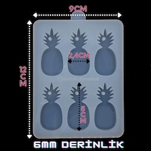 Epoksikalipmarketi Epoksi Silikon Kalıp Ananas 6'lı