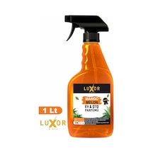 Luxor Kimya Mango Kavun Oto Kokusu 1 L