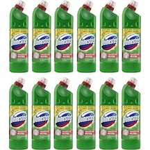 Domestos Çamaşır Suyu Dağ Esintisi 806 Gr 12'li Set Tekli