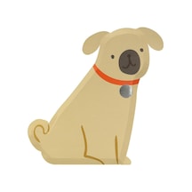 Meri Meri - Pug Plates - Yavru Köpek Tabaklar - 8'li