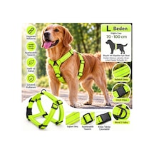 Doglife Köpekler İçin Fosforlu Göğüs Tasması Ve Gezdirme Kayışı Seti 2,5cm L Beden - Neon Yeşil Çok Renkli