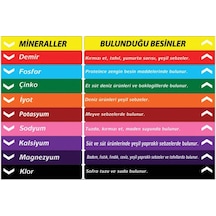 Fen Bilgisi Merdiven Yazıları (Laminasyonlu) (508658432)
