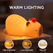 Gateesat Usb Şarjlı Zamanlayıcılı Yaratıcı Kapibara Gece Lambası, Renk Değiştirir, Aydınlatma