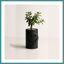 Trendexa 3d Baskı Emoji Planter - Göz Kırpan Yüzlü Sukulent Saksısı-siyah Mac Standart